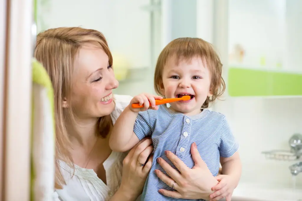 Child Dental Benefits Schedule