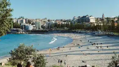 Exploring Inner West Sydney Rentals